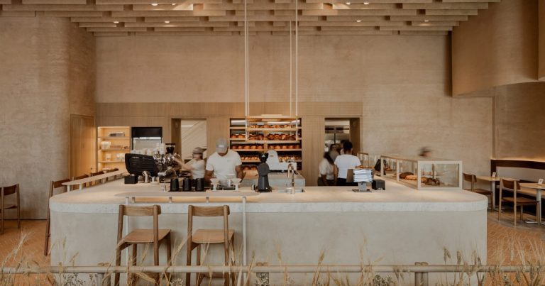 Panama : Découvrez la boulangerie ÉCOLO qui CARTONNE ! 🌾🪵